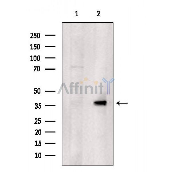 Валидация Affinity DF3205 - 14024