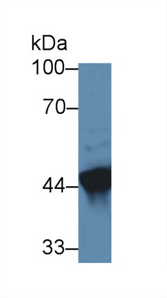 12831
