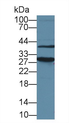 8413