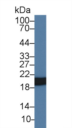 28301