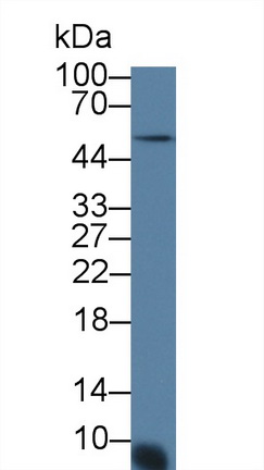 12371