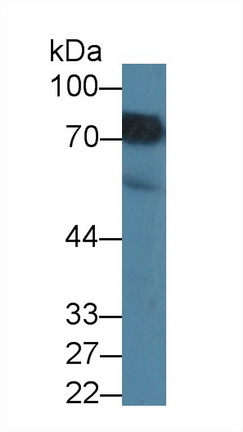 8835