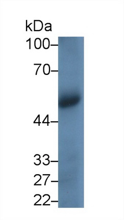 40128