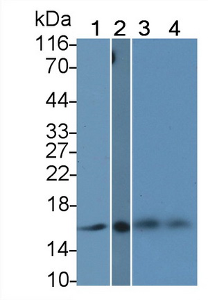 26754