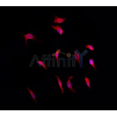 Валидация Affinity DF4414 - 15911