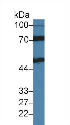 10075