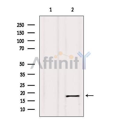 Валидация Affinity AF6353 - 3640