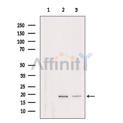 Валидация Affinity DF9130 - 21452