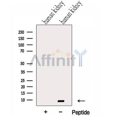 Валидация Affinity DF13053 - 7900