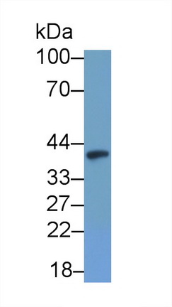 20150