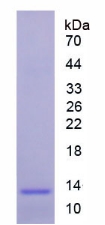 46766