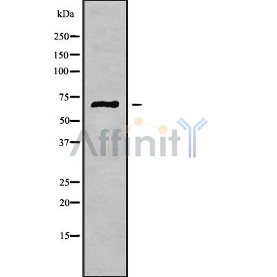 Валидация Affinity DF10168 - 5702