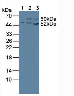 5735