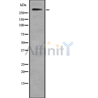 Валидация Affinity DF8901 - 21016