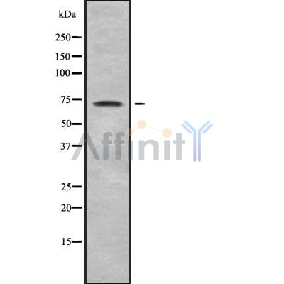 Валидация Affinity DF8423 - 20297