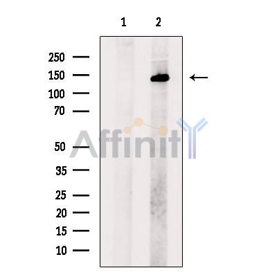 Валидация Affinity DF13458 - 8799