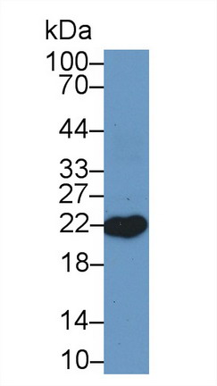 9188