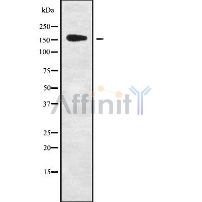 Валидация Affinity DF10131 - 5647