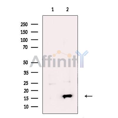 Валидация Affinity DF13725 - 9356