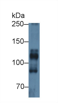 12540