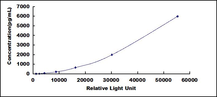 46151
