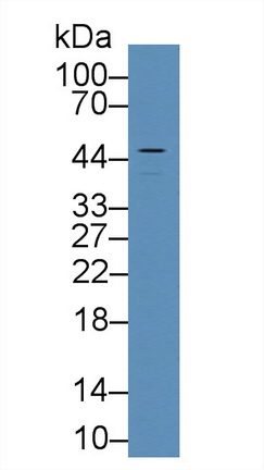 8991