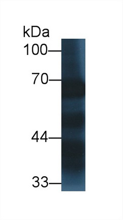 12763
