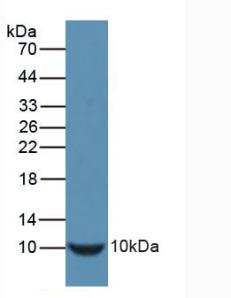 36763