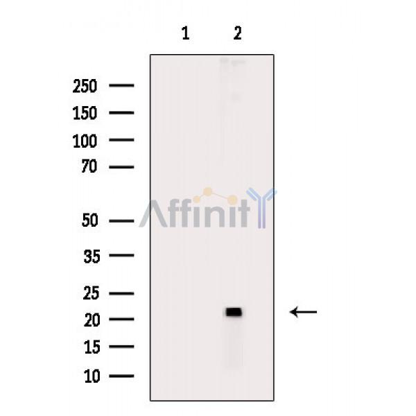 Валидация Affinity DF8833 - 20901