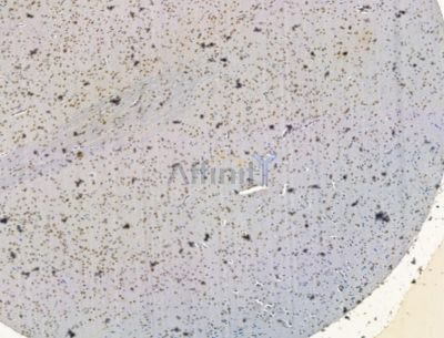Валидация Affinity DF15288 - 11581