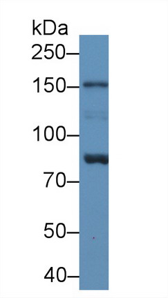 8583