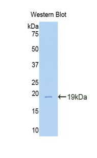 49400