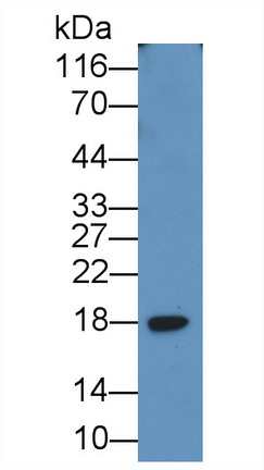 38709