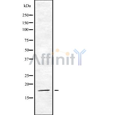 Валидация Affinity DF8538 - 20419