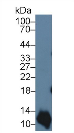 10168