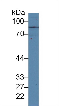 10343