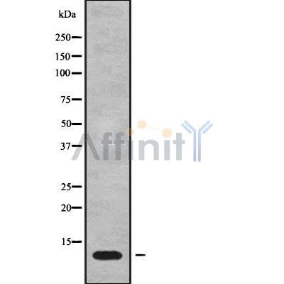 Валидация Affinity DF9240 - 21663