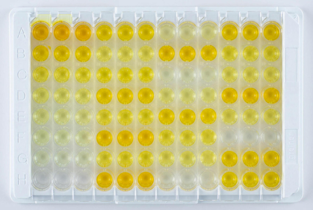 elisa-plate_0.jpg