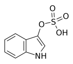 Indoxyl Sulfate (IS)