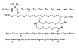 Semaglutide