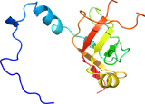 Enterotoxin C (EntC)